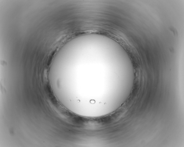 X0000091200598200708091041
