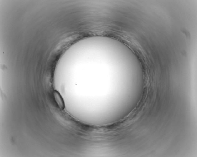 X0000091200599200708091041