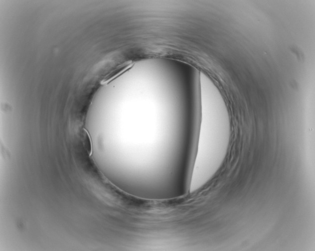 X0000091200601200708091041