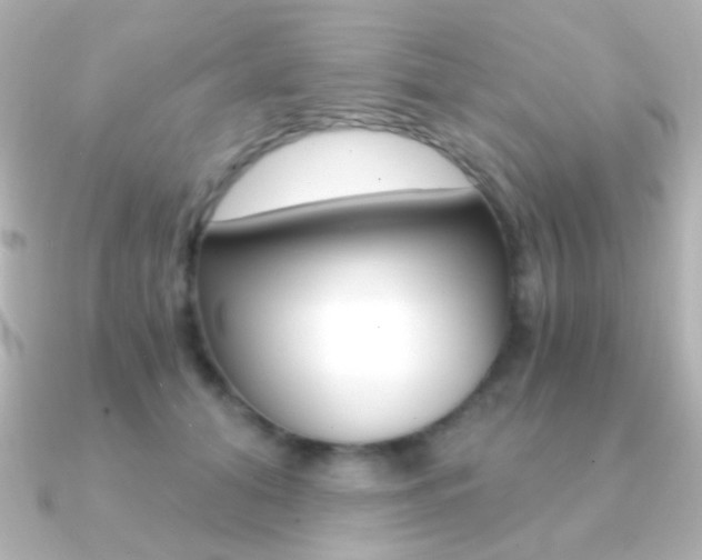 X0000091200608200708091041