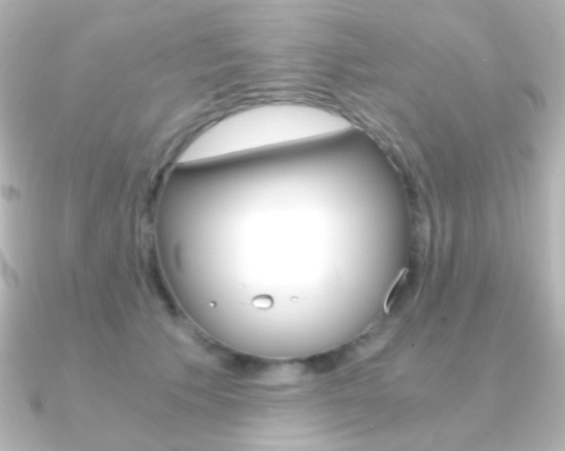 X0000091200609200708091041