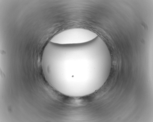 X0000091200610200708091041