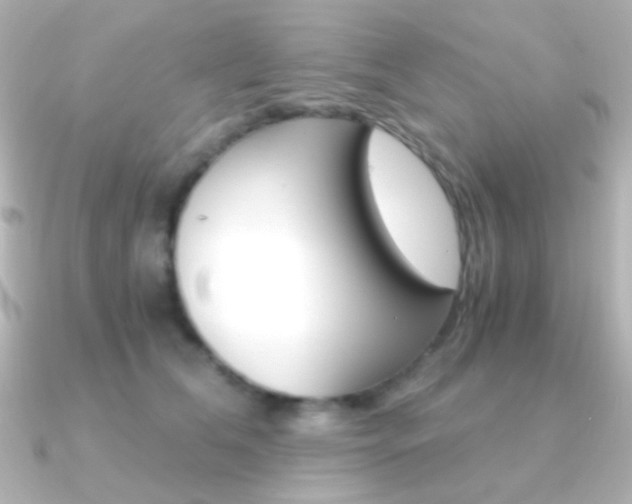 X0000091200612200708091041