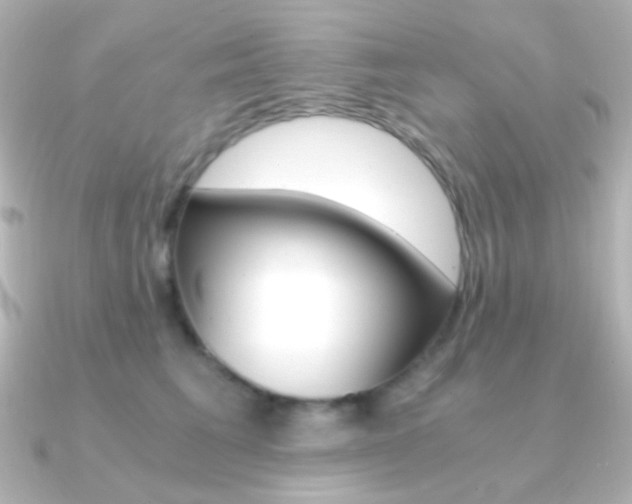 X0000091200613200708091041