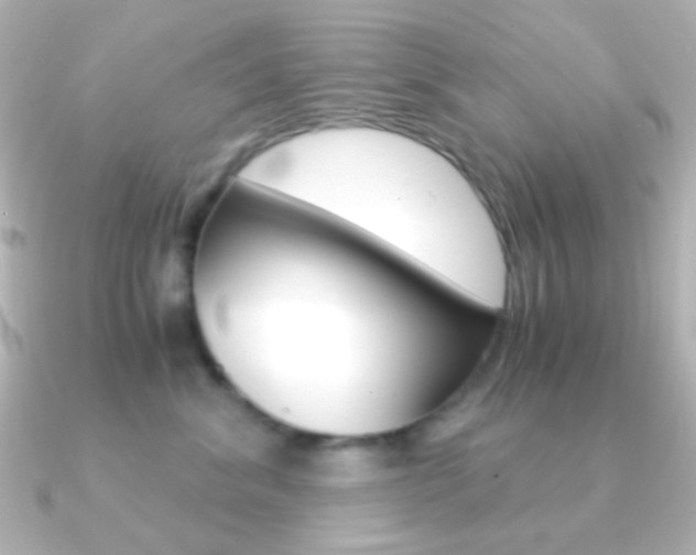 X0000091200620200708091041