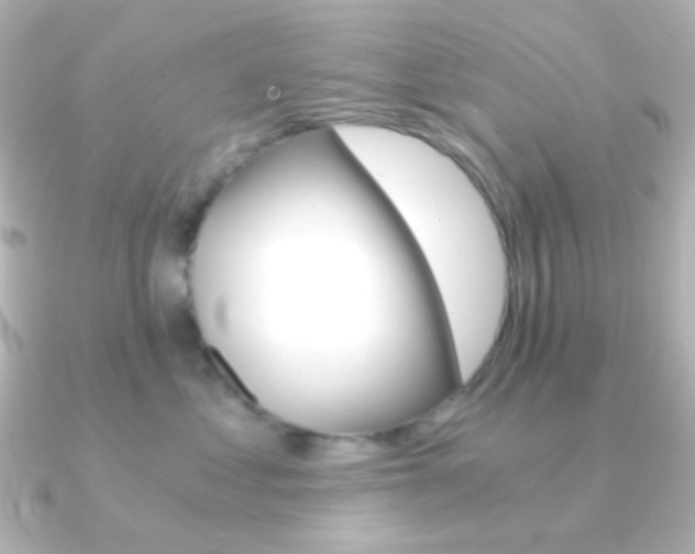 X0000091200621200708091041