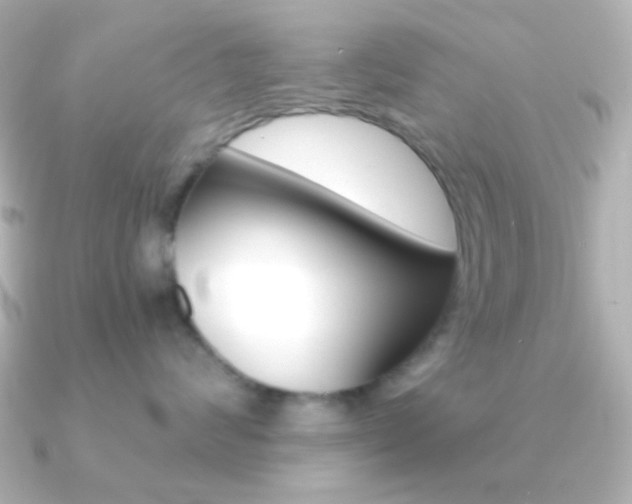 X0000091200624200708091041