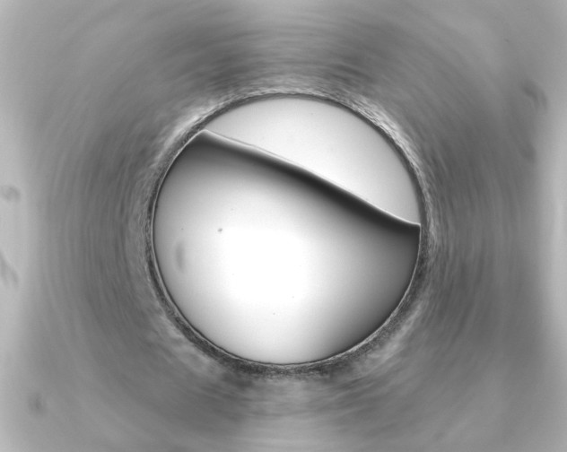 X0000091200625200708091040