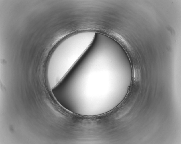 X0000091200627200708091040