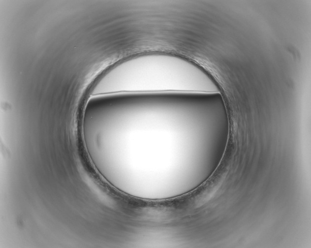 X0000091200630200708091040