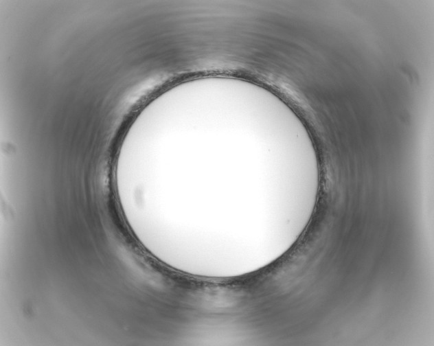 X0000091200632200708091040