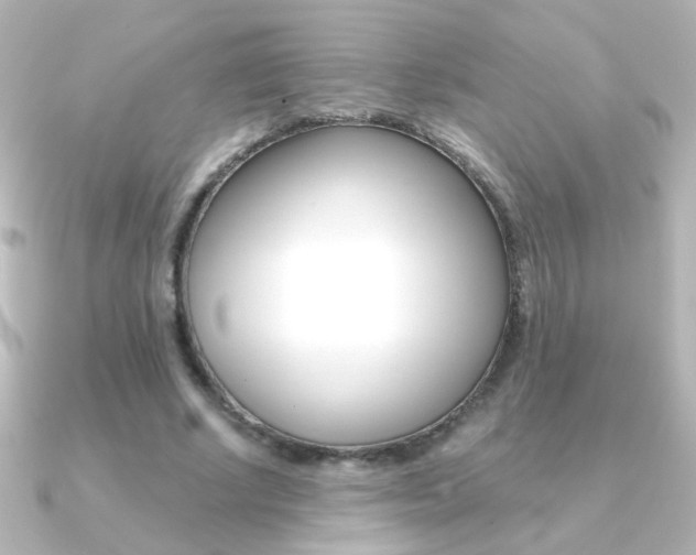 X0000091200634200708091040