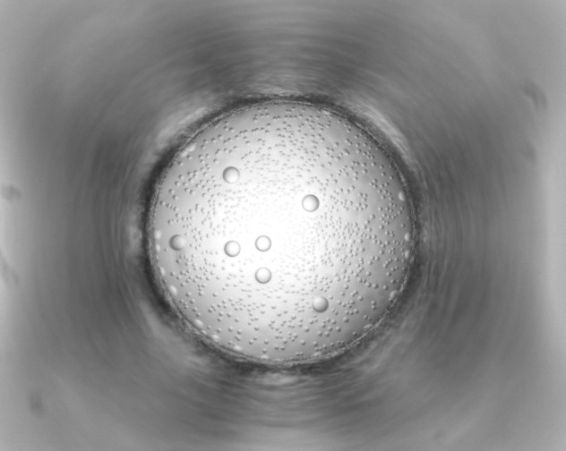 X0000091200635200708091040