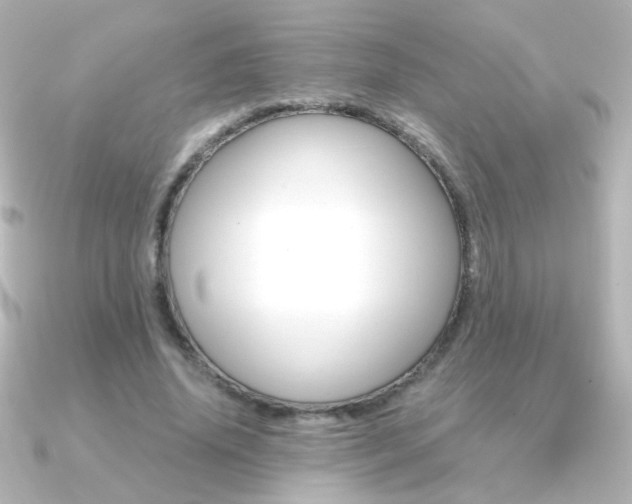 X0000091200636200708091040