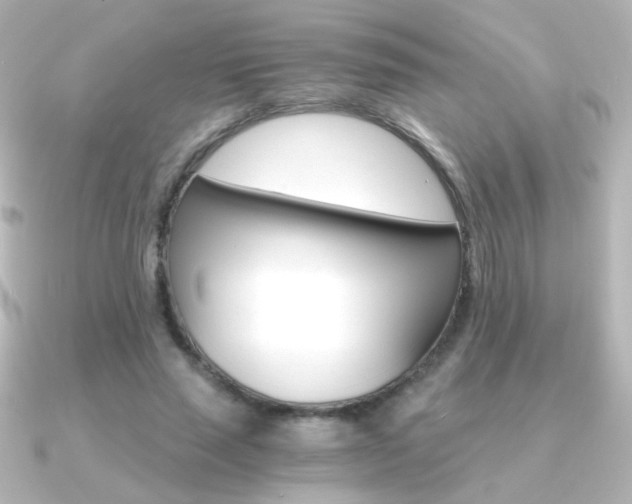 X0000091200637200708091040