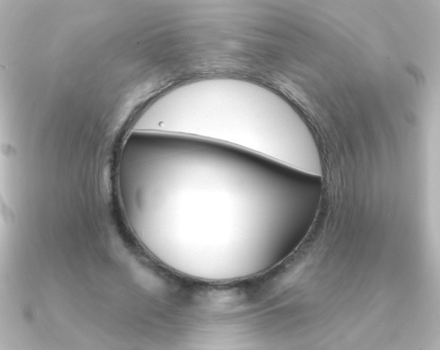 X0000091200638200708091040