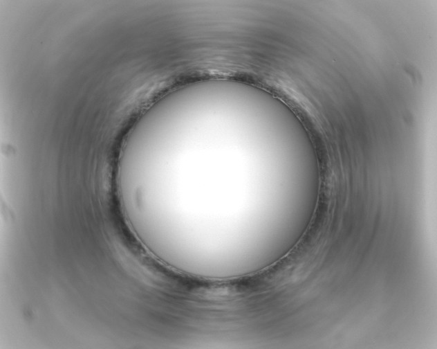 X0000091200639200708091040