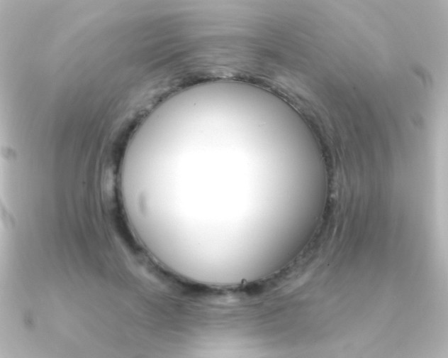 X0000091200646200708091041