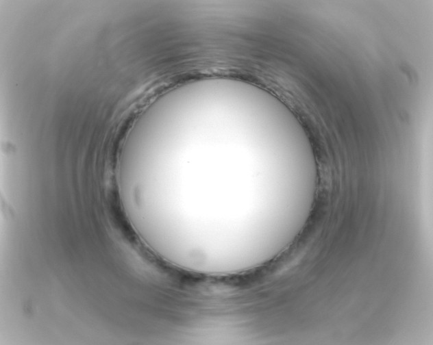 X0000091200648200708091041