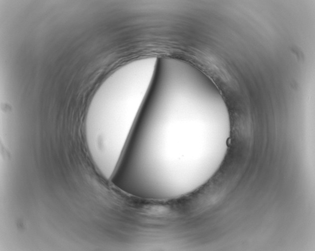 X0000091200649200708091041
