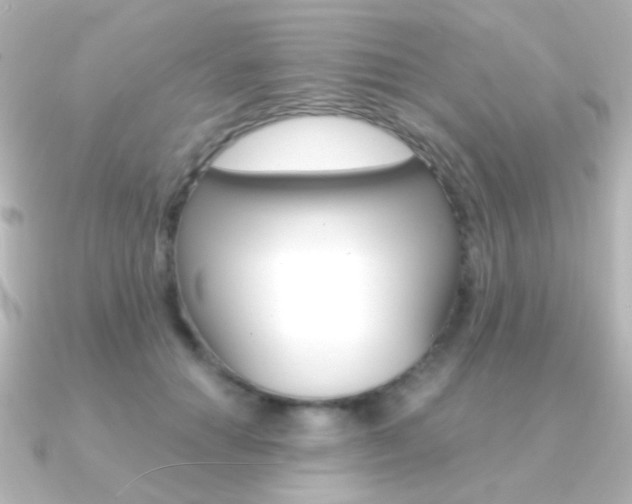 X0000091200654200708091041