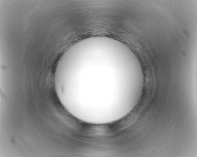 X0000091200659200708091041
