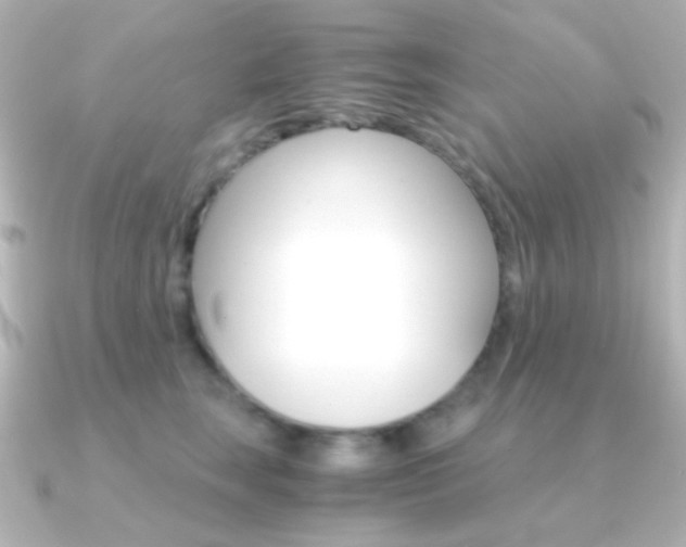 X0000091200663200708091041