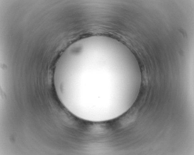 X0000091200664200708091041