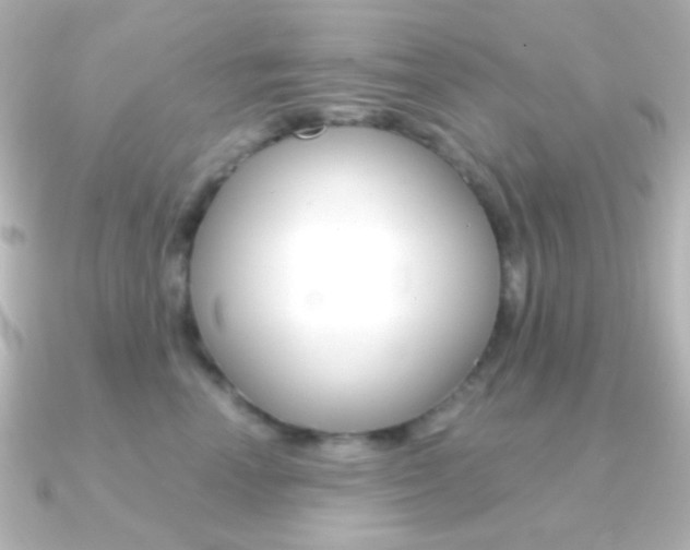 X0000091200666200708091041