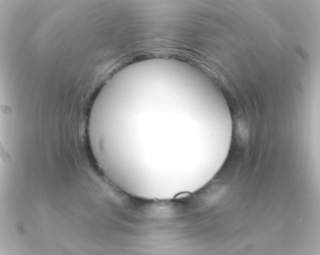 X0000091200668200708091041