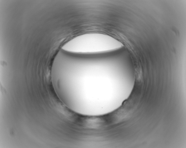 X0000091200669200708091041