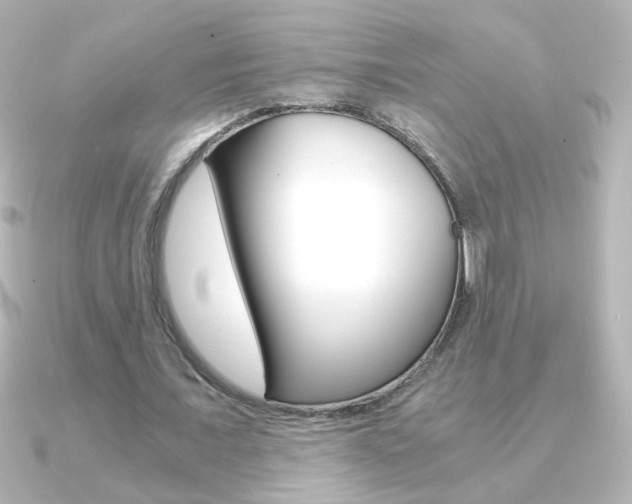 X0000091200675200708091040