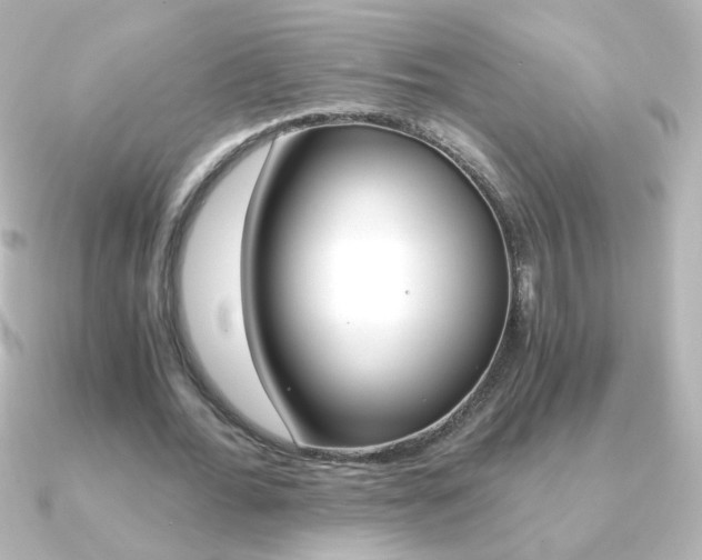 X0000091200676200708091040