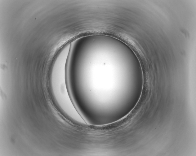 X0000091200677200708091040