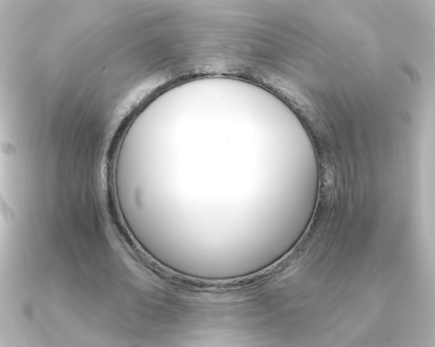 X0000091200678200708091040