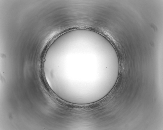 X0000091200679200708091040