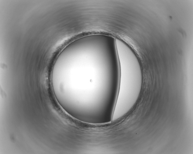 X0000091200680200708091040