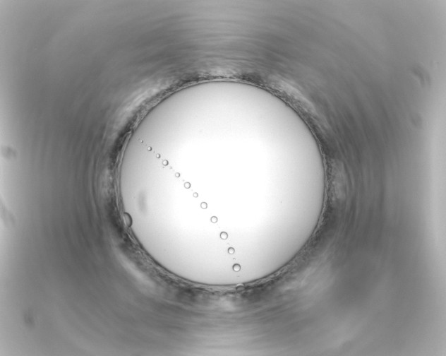 X0000091200683200708091040