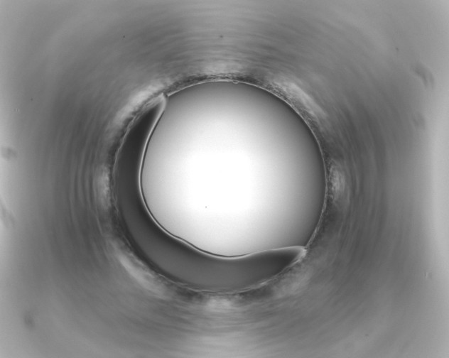 X0000091200684200708091040
