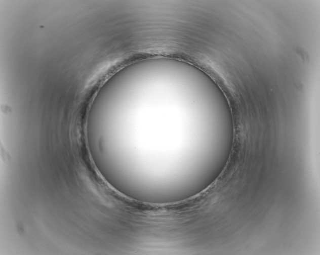 X0000091200688200708091040