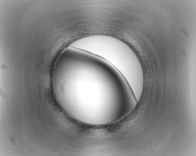 X0000091200689200708091040