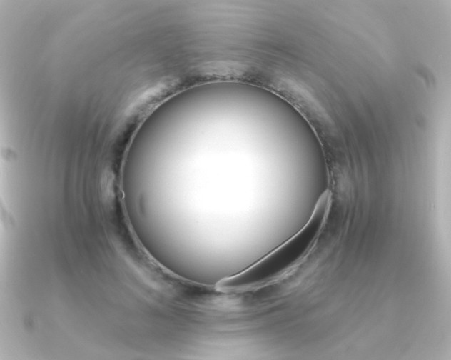 X0000091200692200708091040