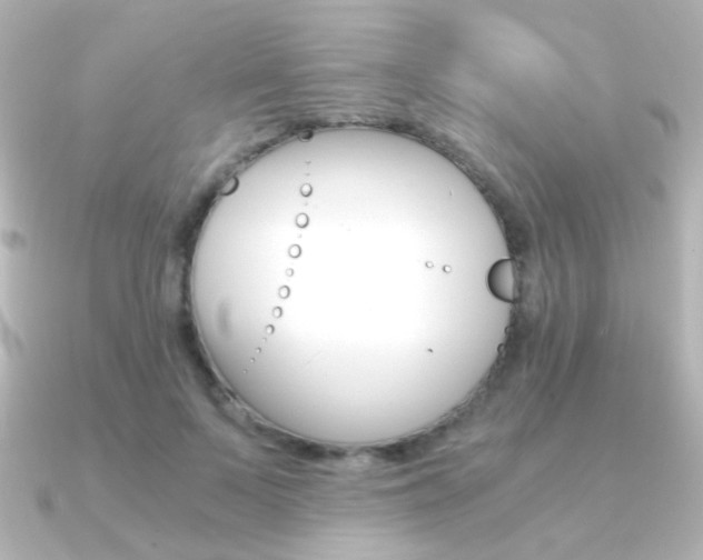 X0000091200695200708091040