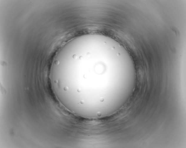 X0000091200698200708091040