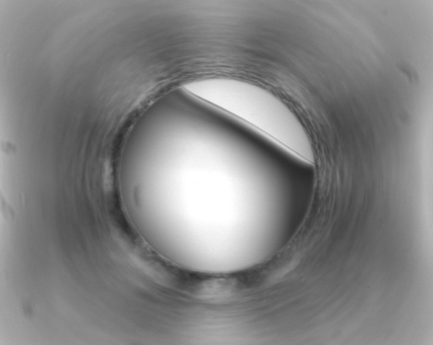 X0000091200700200708091040