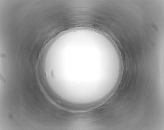 X0000091200701200708091040