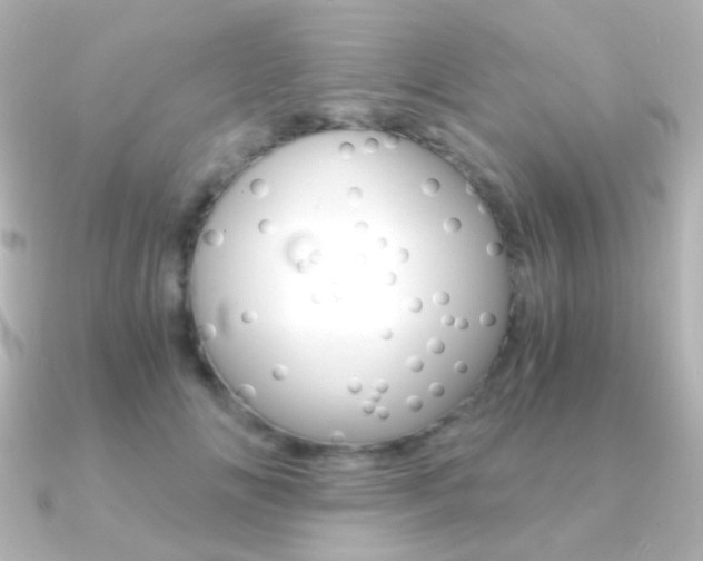 X0000091200702200708091040