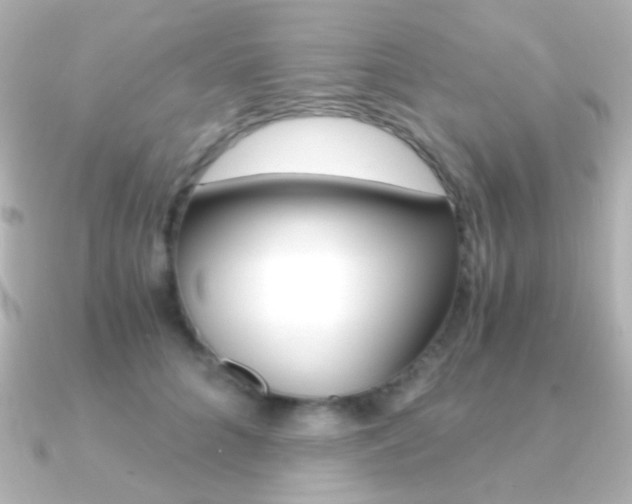 X0000091200704200708091040