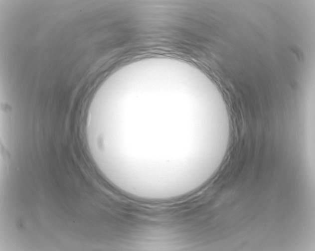 X0000091200705200708091040