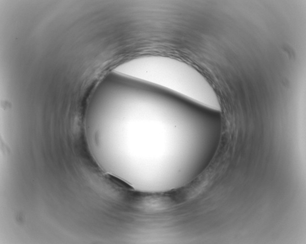 X0000091200708200708091040